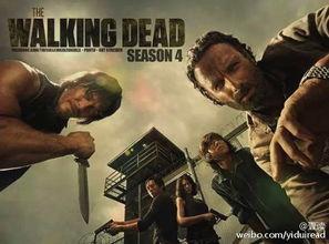 危机四伏电影在线观看,揭秘电影在线观看背后的惊险旅程  第2张